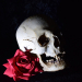 Opium Tattoo Gallery – Skulls and Roses – Vorlagen auf USB Stick von Filip Pasieka