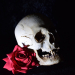 Opium Tattoo Gallery - Skulls and Roses - Vorlagen auf USB Stick von Filip Pasieka