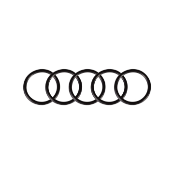 Set von 5 O-Ringen für die Cheyenne Thunder und Spirit
