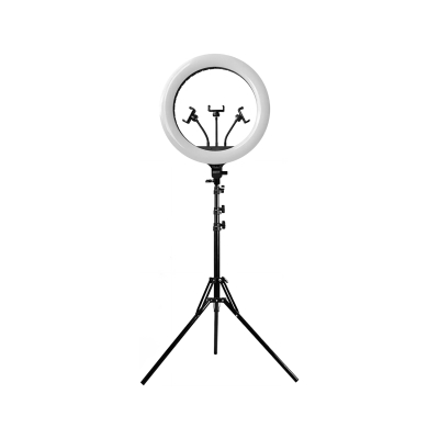 Light & Vision Orbit Ringlicht (EU-Stecker)