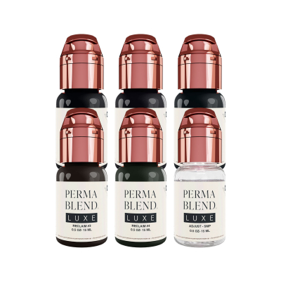 Perma Blend Luxe PMU Ink - Stevey G. Reclaim Set - 6x 15 ml